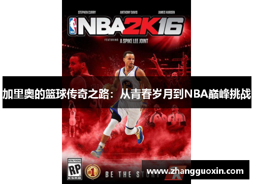 加里奥的篮球传奇之路：从青春岁月到NBA巅峰挑战