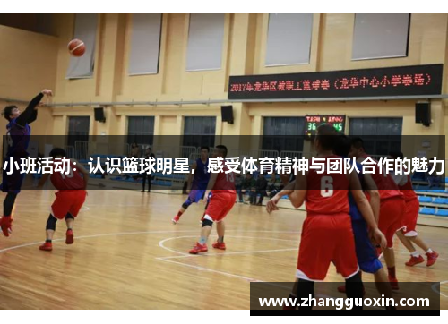 小班活动：认识篮球明星，感受体育精神与团队合作的魅力